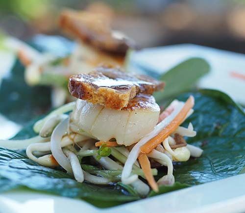 Beach Almond entrée of scallop and pork betel leaf served with Asian herb and bean sprout salad, showcasing authentic Southeast Asian street food flavours.